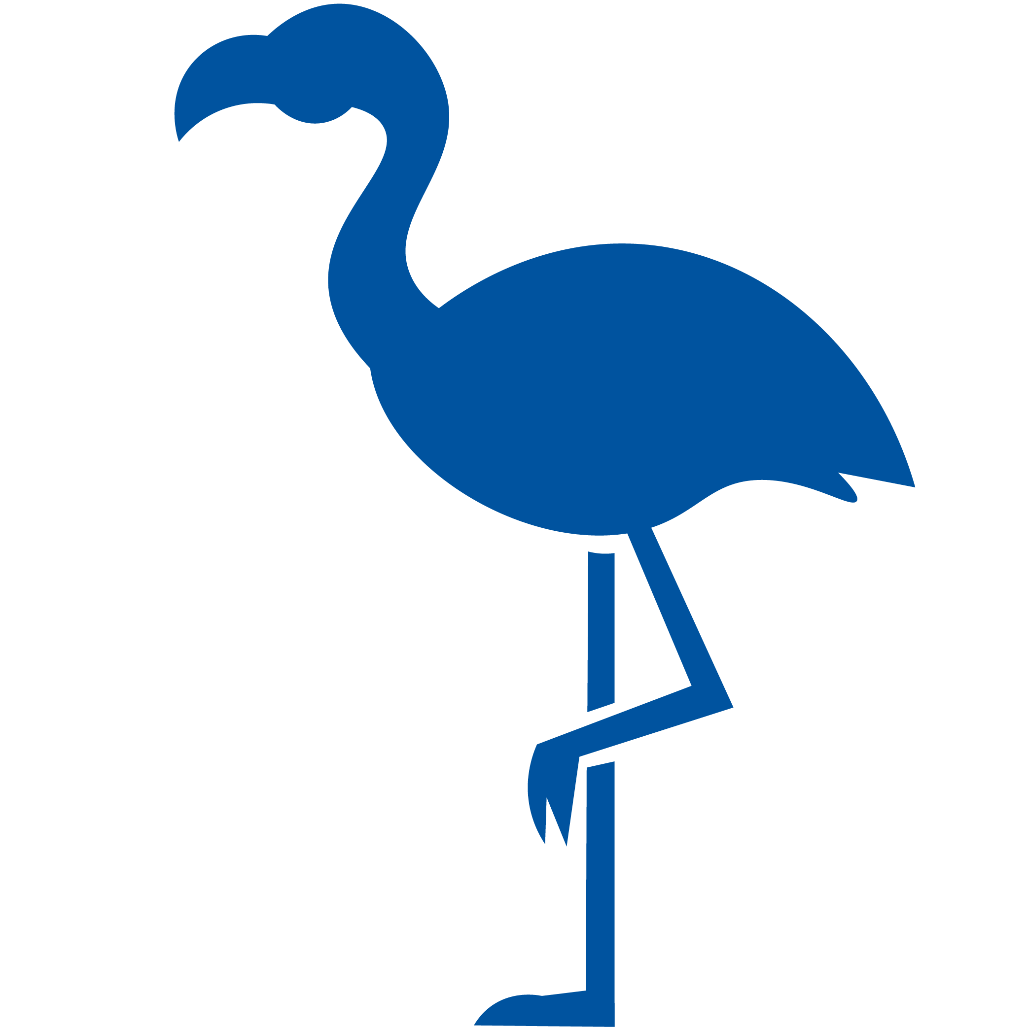 flamingo