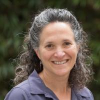 Liz Orlin