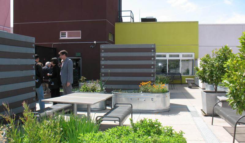 Curran House rooftop garden