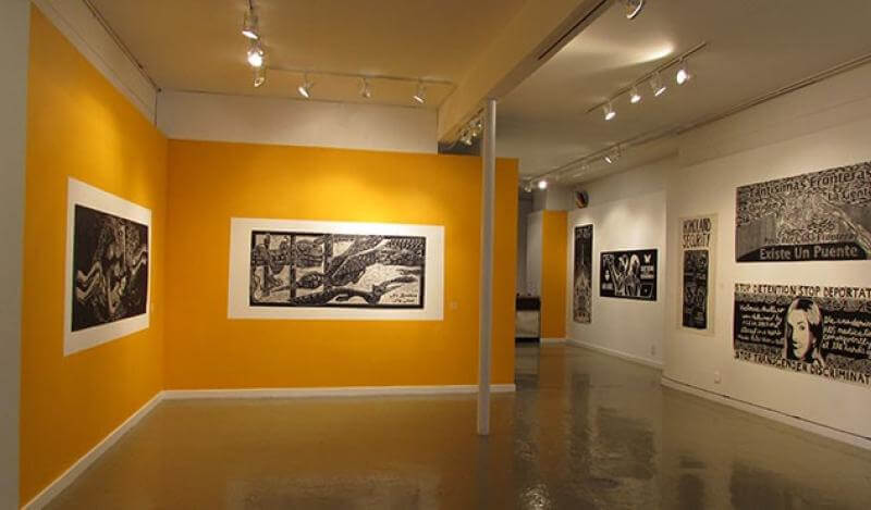 Galeria de la raza