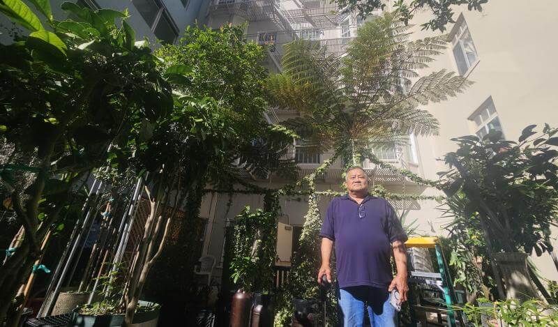 Dung Trang stands among the plants in the garden behind 165 Turk. 