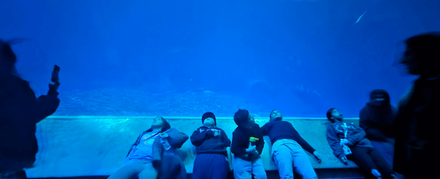 Tasp at monterey bay aquarium