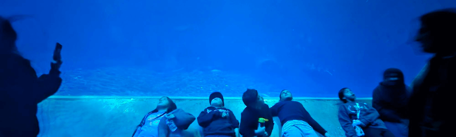 Tasp at monterey bay aquarium