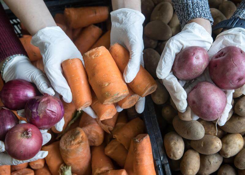 three pairs of hands lift up onions, carrots, and potatoes