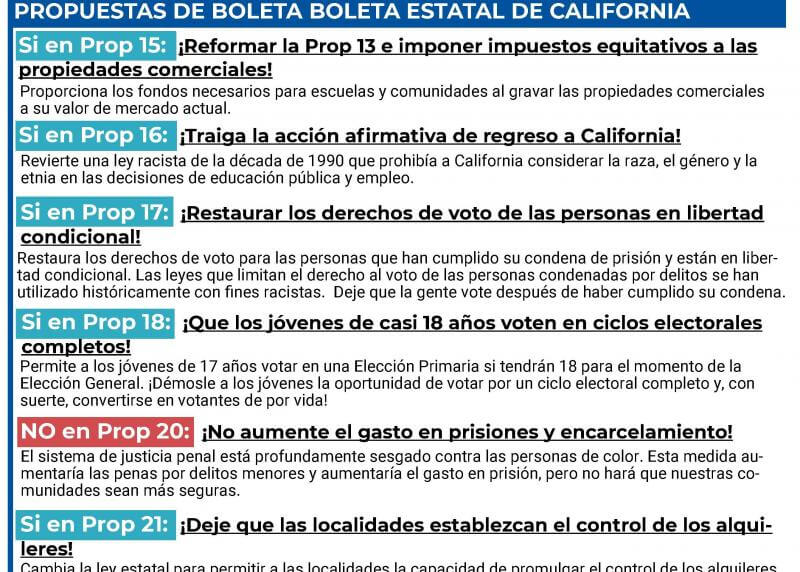 2020 Voter Guide in Spanish