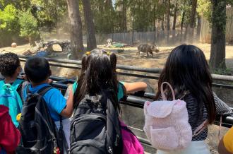 The backs of four kids heads as they watch animals at a zoom
