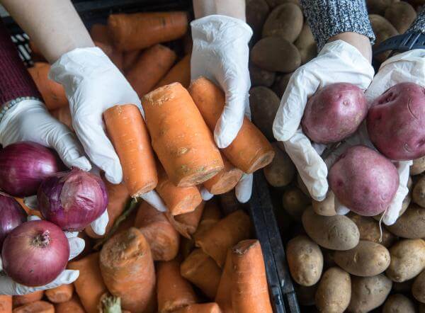 three pairs of hands lift up onions, carrots, and potatoes